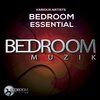 Junior Gonzalez (USA) - 2 Intellectual 4 Us (Original Mix)