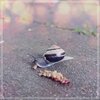 Benny Clavis - Let Be House