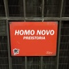 Homo Novo - Accrual