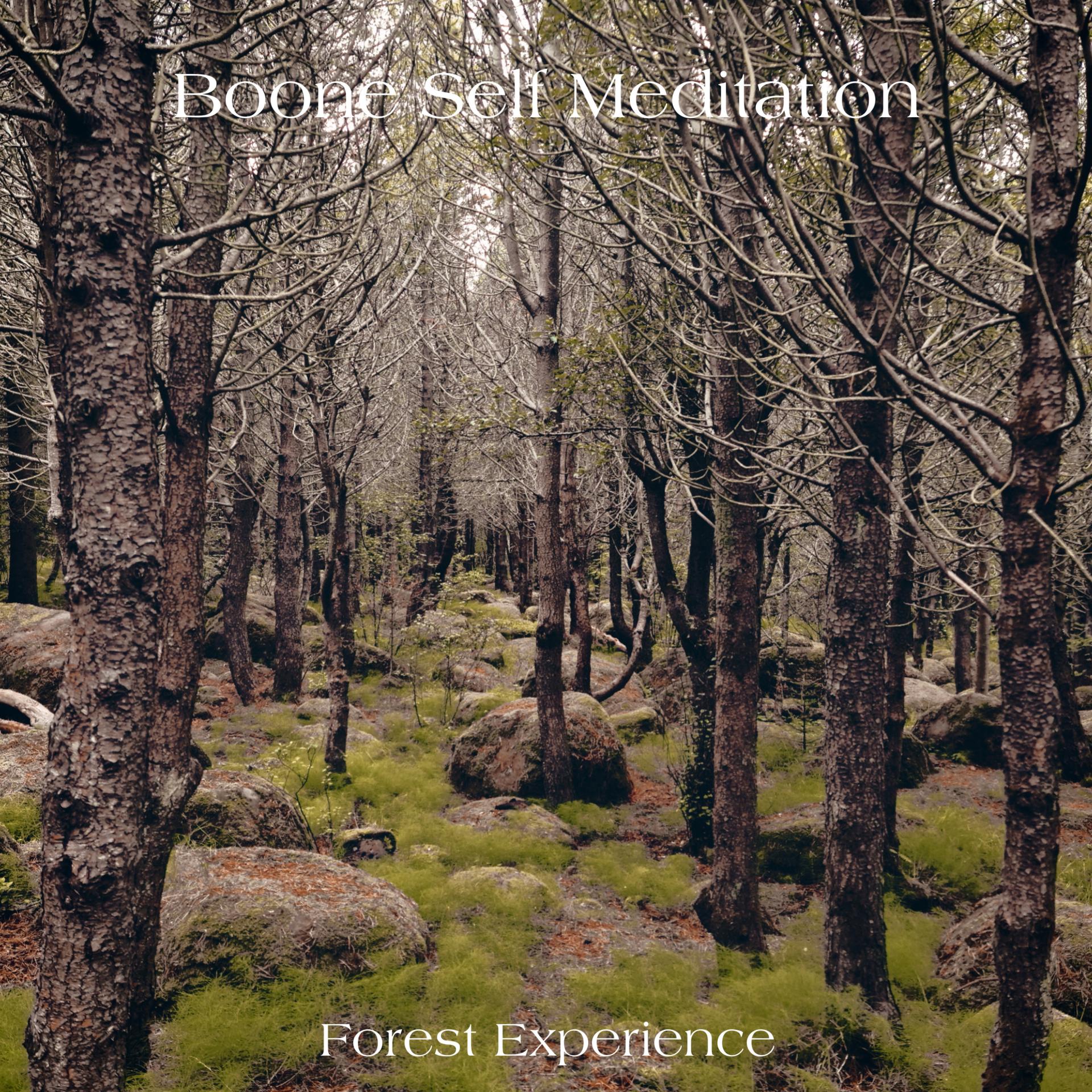 Boone self meditation - Camping Sound