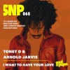 Toney D、arnold jarvis《I Want To Have Your Love (Summer Mix)》[MP3/LRC]