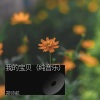 郑帅航 - 我的宝贝 (纯音乐)