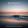 Coastal Sounds、Ocean Sounds、Nature Sounds - Sea Noises, Pt. 1