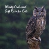 Rain Atmospheres、Owl Sounds Recordings、Catching Sleep - Rainy Catnap and Owl Lullabies