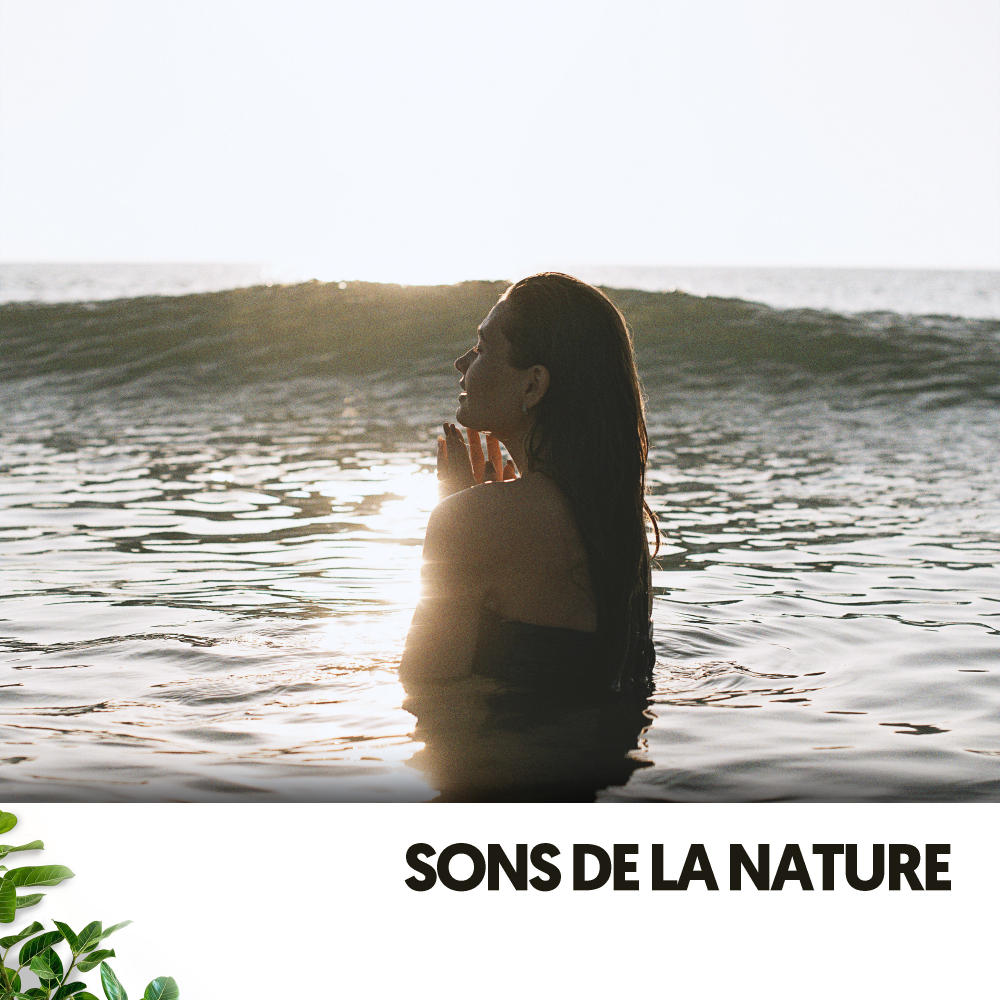 Nature's Noise、Focus Chamber - Sons de plage