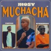 Jhosy、Tostao、Stonebwoy - Muchacha