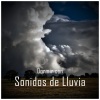 Sonido de lluvia、Sonido Del Bosque y Naturaleza、Barulho de Chuva Relaxante BNLXA - Dormir con Sonidos de Lluvia, Pt. 01
