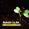 Dj Samzeal、Jawz - Hamulor Lo Am (Radio Edit)
