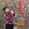 伊人家乡 - 唱给妈妈的歌