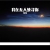 茸茸 - 我在无人处寻你