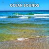 Sea Sounds for Sleep、Ocean Sounds、Nature Sounds - Ocean Sounds, Pt. 1