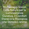 Suoni Naturali - Suoni melodici della pioggia per la pace e la calma, pt. 1