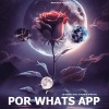 Dj Gomeko、El Korto、El Rocko - Por Whats App