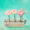 Little Story - I Can Feel love