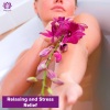 Zakk Miles - Yogic Bliss