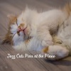 Italian Instrumental Jazz、Piano for cats、Cool Cats 1940s Jazz - Heartfelt Horizons