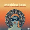 Mathieu Koss、flyckt - She's so Disco