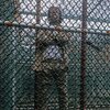 Set Da Trend、Mhady2Hottie - Free Flock Tha (feat. Mhady2hottie)(Explicit)