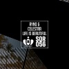 Celestra、Ryno - Life Is Beautiful