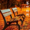 艾羽 - 落叶的街