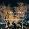 Sumshine夏阳 - 你是我心中一句惊叹