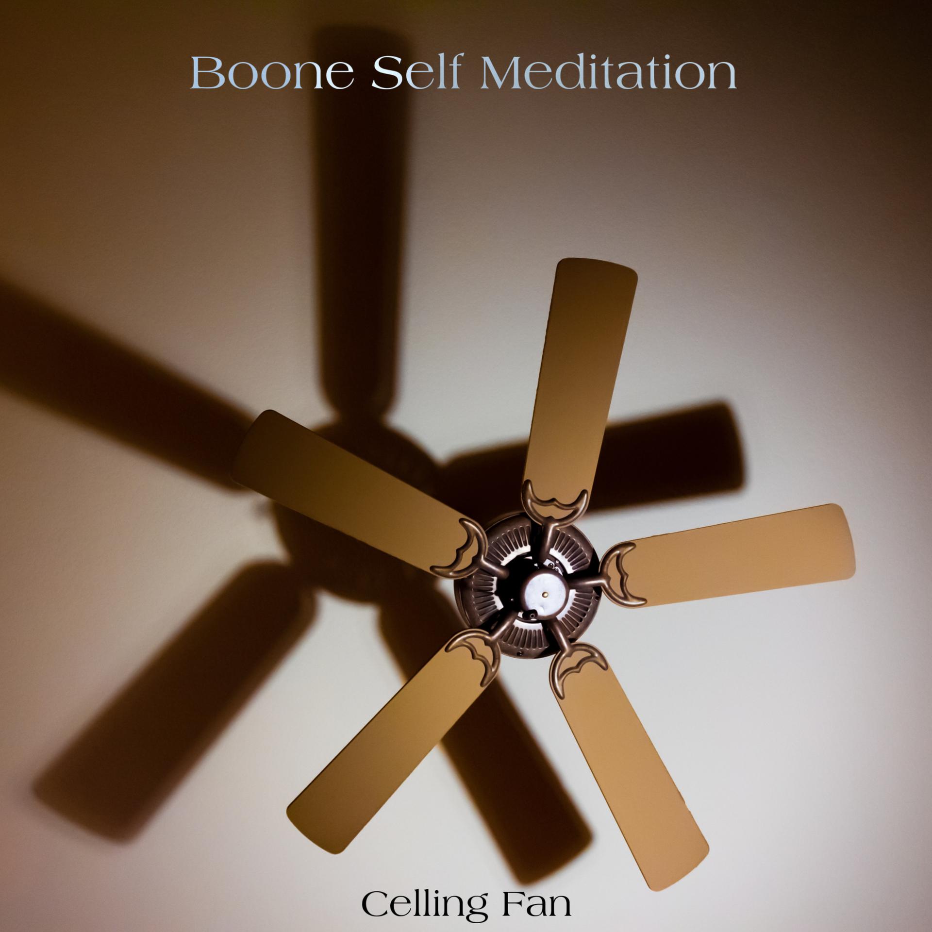 Boone self meditation - Bedroom Celling Fan Loopable