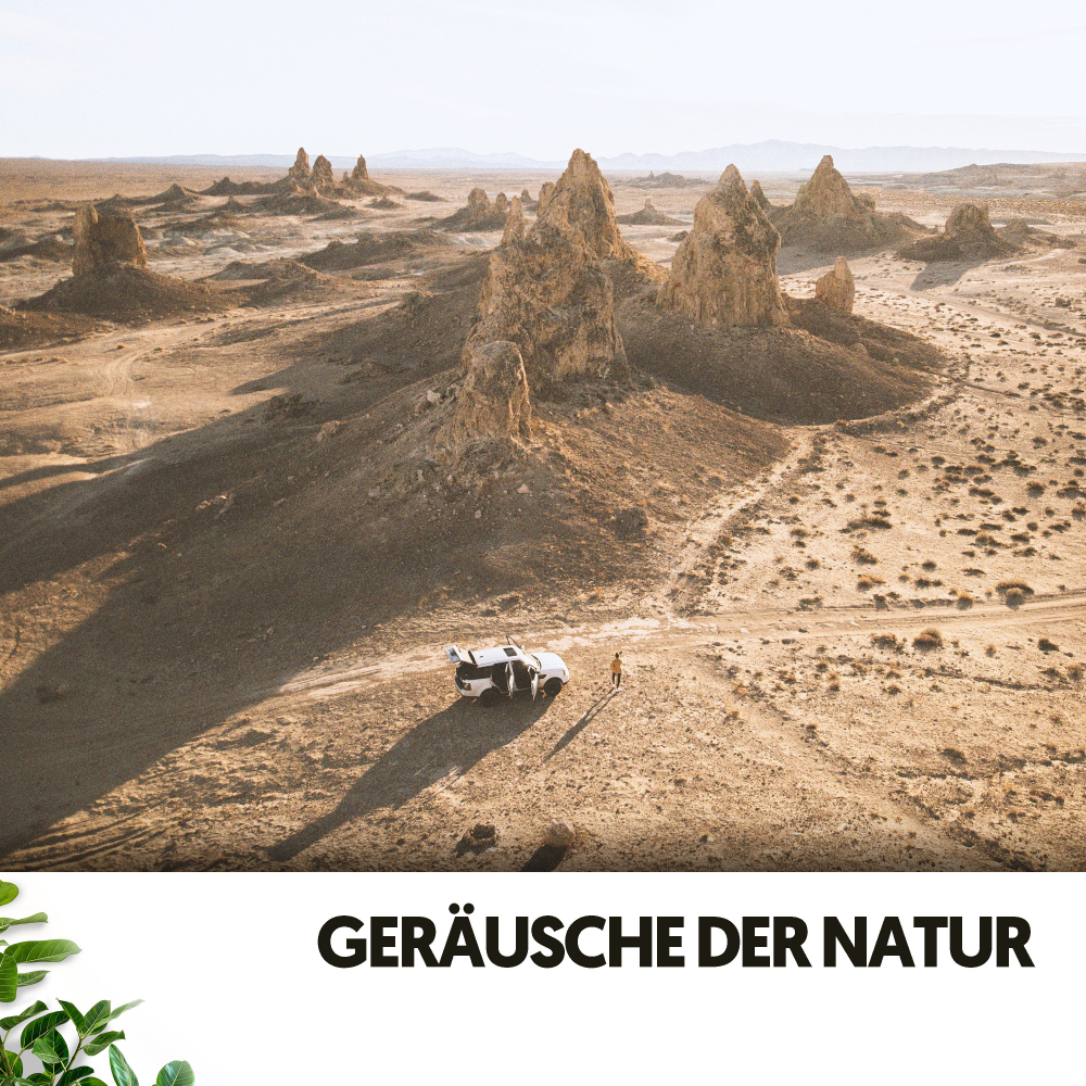 Ruido Blanco Hart、Sonidos Naturaleza、The Nature Soundscapes - Ausgetrocknete Leidenschaft