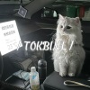 TOKBinL、KANYE、OURES - h3R3-他只是经过&还是会想你 (TOKBINL&KANYE&OURES Mashup)
