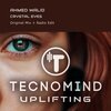 Ahmed Walid - Crystal Eyes