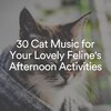 Cats Music Zone - Purring