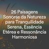 Sons da Natureza、Natureza Relaxante、Relaxamento Sons da Natureza Ruído Branco Musicas Clube - Bouquet de Som, Pt. 1