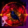 LizTina、Sineidal - Here it is (feat. Sineidal)