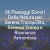 Suoni Naturali - Suoni melodici della pioggia per la pace e la calma, pt. 1