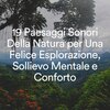 Relaxamento Sons da Natureza Ruído Branco Musicas Clube、Sons da Natureza、Natureza Relaxante - Bouquet de Som, Pt. 1