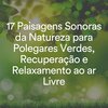 Relaxamento Sons da Natureza Ruído Branco Musicas Clube、Sons da Natureza、Natureza Relaxante - Bouquet de Som, Pt. 1