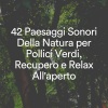 Suoni Naturali《Suoni melodici della pioggia per la pace e la calma, pt. 1》[MP3/LRC]