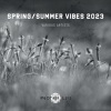 Audiofive - Momentum