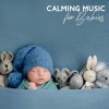 Baby Lullabies Music Land - Baby Sleep Therapy
