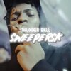 Branndan On Da Track、Thunder Bklu - Sweepers K (feat. Thunder Bklu)(Explicit)