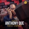 Anthony Que、Goldbar`z《Perfect Symphony》[MP3/LRC]