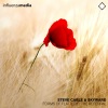 Steve Cable、Skyward - Forms of Flattery