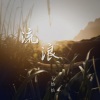 王恰恰 - 流浪