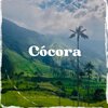 Cristian R - Cocora