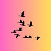 Sound Formation - Relaxing Summer Birds