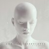 Kyle Booth - Connection