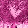 Free the Kids、Adastra - Run From You (Explicit)