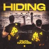 Dual Damage《Hiding》[MP3/LRC]