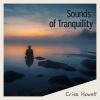 Criss Howell - Therapeutic Relaxation
