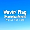 Kayhin - Wavin' Flag (Marimba Version)