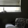 BbyBoy - Miss Wavy (Explicit)